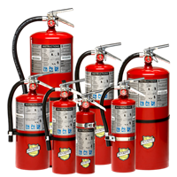 Picture of 13315 - 2.5 lb ABC Dry Chemical Extinguisher