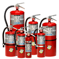 Picture for category Fire Extinguishers