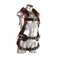 Picture for category Harnesses